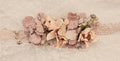REF.5026 FAJIN SERIE ESCARLATA